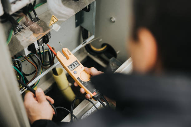 Best 24-Hour Electrician  in Wacousta, MI