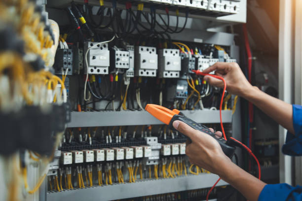Best Generator Installation Services  in Wacousta, MI