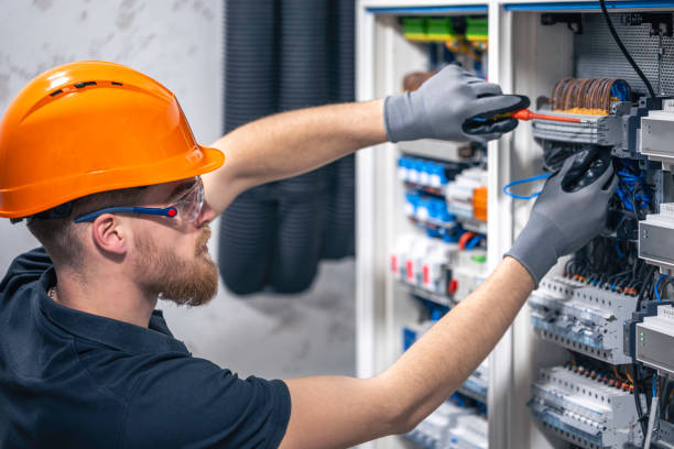 Best Affordable Electrician  in Wacousta, MI